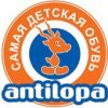 Обувная фабрика Антилопа Про